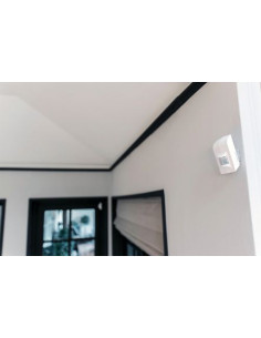 Détecteur de mouvement ALMDT 2000 TRUST 2