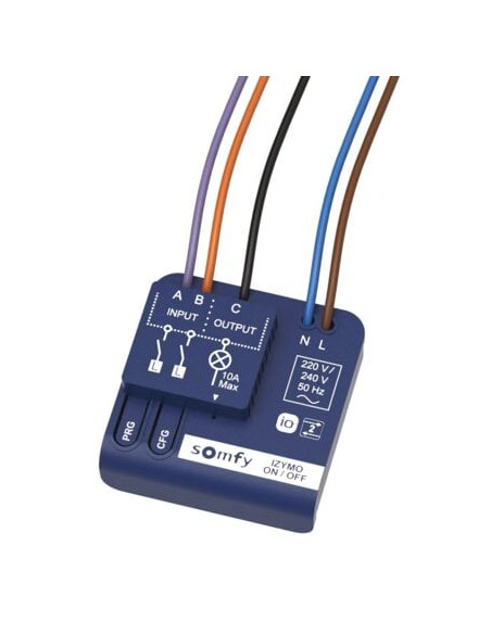 Récepteur ON/OFF IO IZYMO SOMFY