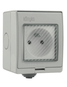 Prise extérieure wifi Pluviose