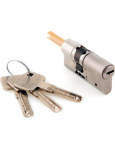 Cylindre pour serrure connectée SOMFY SOMFY