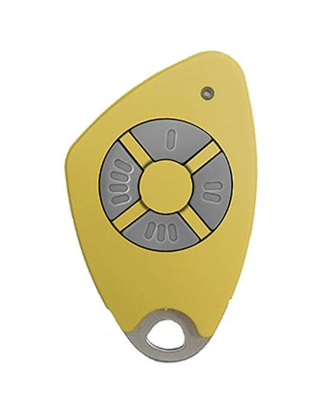 Télécommande bi-technologie INTRATONE