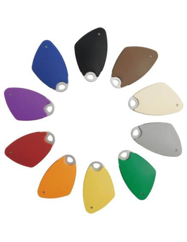 Badge électronique Mifare mains-libres INTRATONE