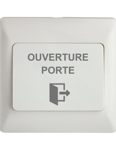 Bouton poussoir NO/NF DOOR EXIT IZYX SYSTEMS