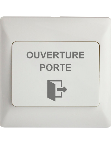 Bouton poussoir NO/NF DOOR EXIT IZYX SYSTEMS