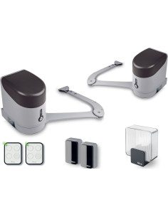 MOTORISATION PORTAIL BATTANT HYKE NICE 2