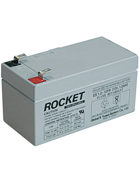 Batterie de secours CAME