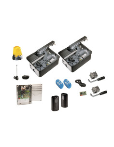 Motorisation portail battant FROG CAME 2