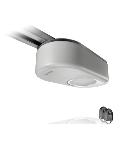 Motorisation porte de garage DEXXO SMART 800 IO SOMFY