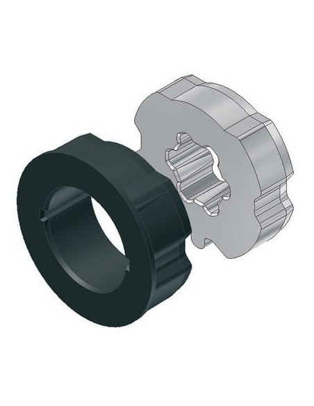 Adaptateur pour moteur TM45