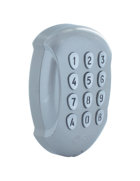 Clavier extérieur CLE 8000 DELTA DORE