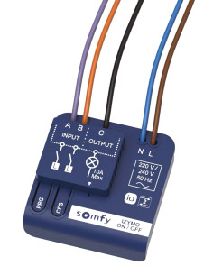 Récepteur ON/OFF IO IZYMO SOMFY 2